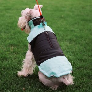 PetAir dog clothes from airbag, green