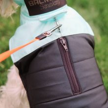 PetAir dog clothes from airbag, green