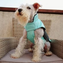 PetAir dog clothes from airbag, green