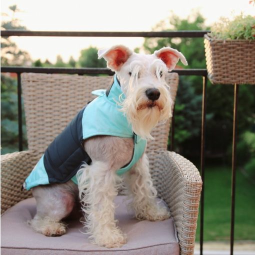 PetAir dog clothes from airbag, green