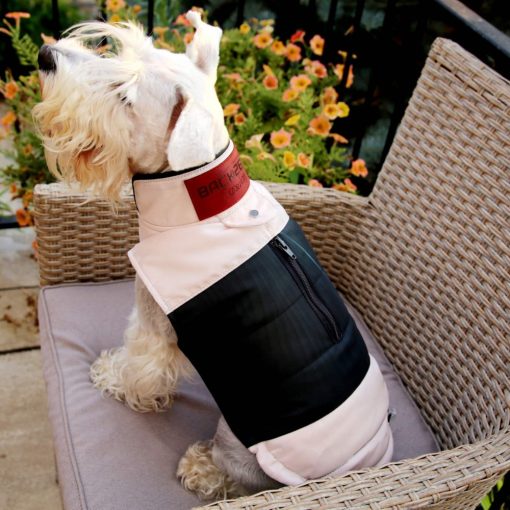 PetAir dog clothes from airbag, rose